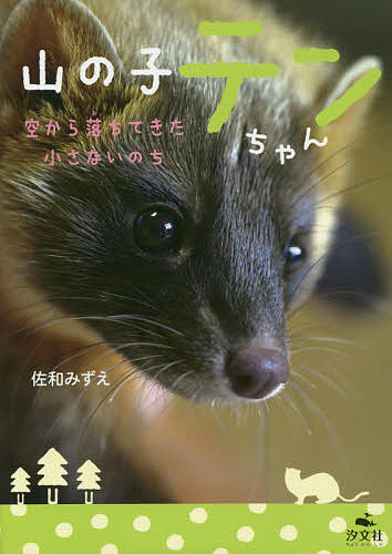 【送料無料】山の子テンちゃん 空から落ちてきた小さないのち／佐和みずえ