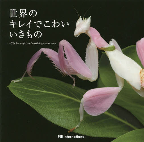 著者パイインターナショナル(編著) 新宅広二(監修)出版社パイインターナショナル発売日2018年12月ISBN9784756250858ページ数189Pキーワードせかいのきれいでこわいいきもの セカイノキレイデコワイイキモノ ぱい／いんた−...