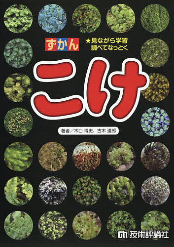 ※商品画像はイメージや仮デザインが含まれている場合があります。帯の有無など実際と異なる場合があります。著者木口博史(著) 古木達郎(著)出版社技術評論社発売日2019年02月ISBN9784297103934ページ数128Pキーワードプレゼント ギフト 誕生日 子供 クリスマス 子ども こども ずかんこけみながらがくしゆうしらべてなつとく ズカンコケミナガラガクシユウシラベテナツトク きぐち ひろし ふるき たつお キグチ ヒロシ フルキ タツオ9784297103934内容紹介美しいこけの写真が満載！！かなりレアな写真もあるよ。こけの動画URLも掲載。こけの動きが見ることができる。こけを生物学的に解説。“生物”としてのこけがよくわかる。こけの栽培や観察方法も。調べ＆体験学習にも最適！※本データはこの商品が発売された時点の情報です。目次1章 コケって何？（コケって何？/コケの特徴大解剖！ ほか）/2章 街中のコケ（家のまわりに生えるコケ）/3章 公園・寺社・街路樹のコケ（街路樹に生えるコケ/コンクリートに生えるコケ ほか）/4章 田畑のコケ（田んぼに生えるコケ/畑に生えるコケ ほか）