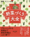 イラストでよくわかるはじめての野菜づくり12か月 定番・人気の新鮮野菜100種[本/雑誌] / 板木利隆/著