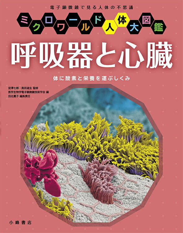 【送料無料】呼吸器と心臓 体に酸素と栄養を運ぶしくみ 電子顕微鏡で見る人体の不思議／宮澤七郎／島田..