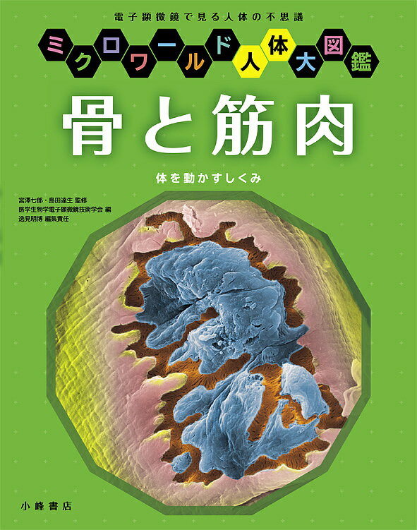 【送料無料】骨と筋肉 体を動かすしくみ 電子顕微鏡で見る人体の不思議／宮澤七郎／島田達生／医学生物..
