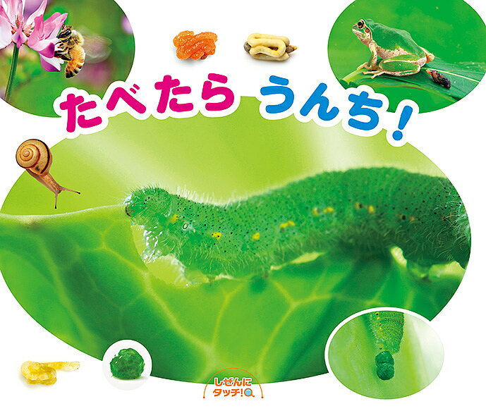 【送料無料】たべたらうんち!／子供／絵本