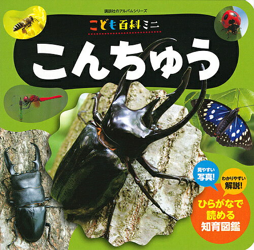 楽天市場】こども百科 こんちゅうの通販