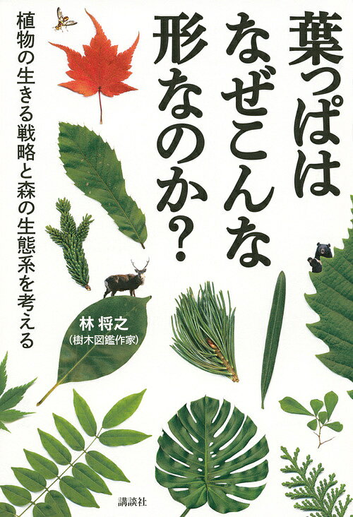 葉っぱはなぜこんな形なのか? 植物の生きる戦略と森の生態系を考える／林将之【1000円以上送料無料】