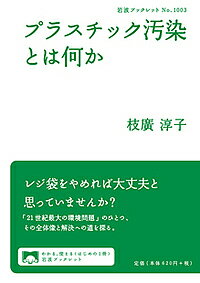 プラスチック汚染とは何か／枝廣淳子【1000円以上送料無料】