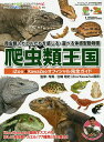 爬虫類王国 iZoo+KawaZooオフィシャル完全ガイド 爬虫類+カエルたちを感じる・遊べる体感型動物園/白輪剛史【1000円以上送料無料】