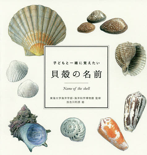 子どもと一緒に覚えたい貝殻の名前／東海大学海洋学部／海洋科学博物館／加古川利彦【1000円以上送料無料】