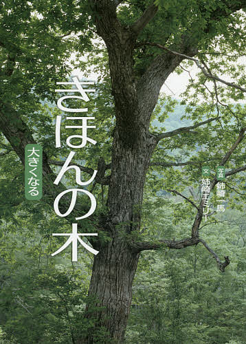 Picture-Book （JAPAN） - 【送料無料】きほんの木 大きくなる／姉崎エミリー／姉崎一馬／子供／絵本