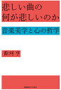 悲しい曲の何が悲しいのか 音楽美学と心の哲学/源河亨【1000円以上送料無料】