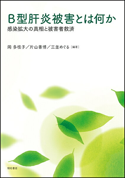 B型肝炎被害とは何か 感染拡大の真相と被害者救済／岡多枝子／片山善博／三並めぐる【1000円以上送料無料】