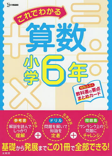 これでわかる算数 小学6年【1000円以上送料無料】