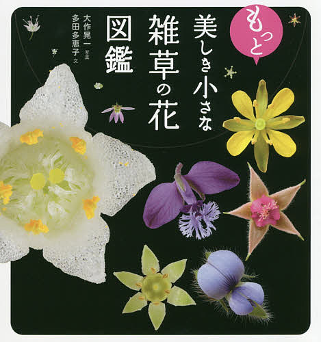 【送料無料】もっと美しき小さな雑草の花図鑑／多田多恵子／大作晃一