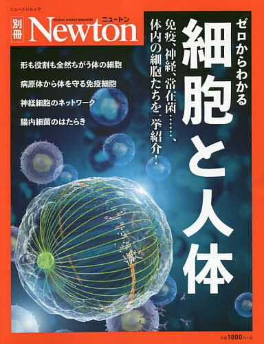 ゼロからわかる細胞と人体 免疫、神経、常在菌……、体内の細胞たちを一挙紹介!【1000円以上送料無料】のサムネイル