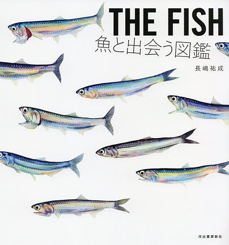 THE FISH 魚と出会う図鑑／長嶋祐成【1000円以上送料無料】