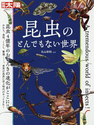 昆虫のとんでもない世界／丸山宗利【1000円以上送料無料】