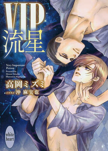 【送料無料】VIP流星／高岡ミズミ