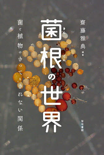 【送料無料】菌根の世界 菌と植物のきってもきれない関係／齋藤雅典