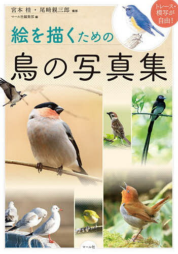 【送料無料】絵を描くための鳥の写真集 トレース・模写が自由!／宮本桂／尾崎親三郎／マール社編集部