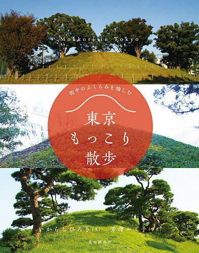 【送料無料】東京もっこり散歩 街中のふくらみを愉しむ／いからしひろき／芳澤ルミ子／旅行のサムネイル
