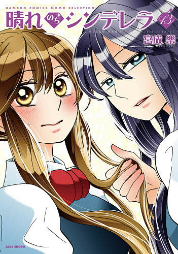 晴れのちシンデレラ 13宮成樂1000円以上
