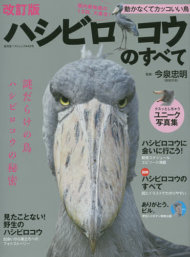 ハシビロコウのすべて 動かなくてカッコいい鳥 謎の生態を徹底解説／今泉忠明【1000円以上送料無料】