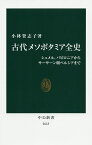 古代メソポタミア全史 シュメル、バビロニアからサーサーン朝ペルシアまで／小林登志子【1000円以上送料無料】