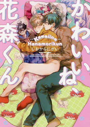 かわいいね、花森くん／しおからにがい【1000円以上送料無料】