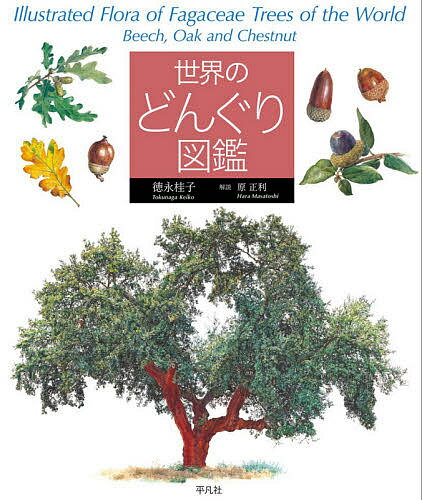 【送料無料】世界のどんぐり図鑑／徳永桂子