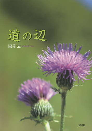 Other - 【送料無料】道の辺／圃暮志