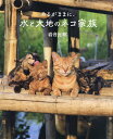 あるがままに、水と大地のネコ家族 劇場版岩合光昭の世界ネコ歩き/岩合光昭【1000円以上送料無料】