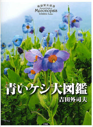 ※商品画像はイメージや仮デザインが含まれている場合があります。帯の有無など実際と異なる場合があります。著者吉田外司夫(著)出版社平凡社発売日2021年01月ISBN9784582542653ページ数293Pキーワードあおいけしだいずかん アオイケシダイズカン よしだ としお ヨシダ トシオ9784582542653内容紹介ヒマラヤを象徴する花「青いケシ」のすべてを集大成。24の新種を含む90種を700点の写真と最新の知見で紹介する。※本データはこの商品が発売された時点の情報です。目次メコノプシス亜属/ディスコギネ亜属/グランディス亜属/クンミンシア亜属/パラメコノプシス属/カトカルティア属