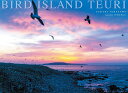 BIRD ISLAND TEURI/寺沢孝毅【1000円以上送料無料】
