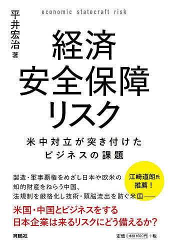 経済安全保障リスク 米中対立が突き付けたビジネスの課題／平井宏治【1000円以上送料無料】のサムネイル