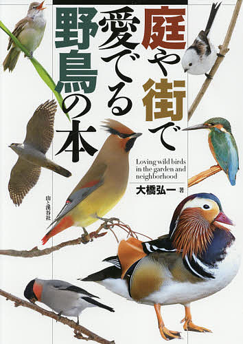 【送料無料】庭や街で愛でる野鳥の本／大橋弘一