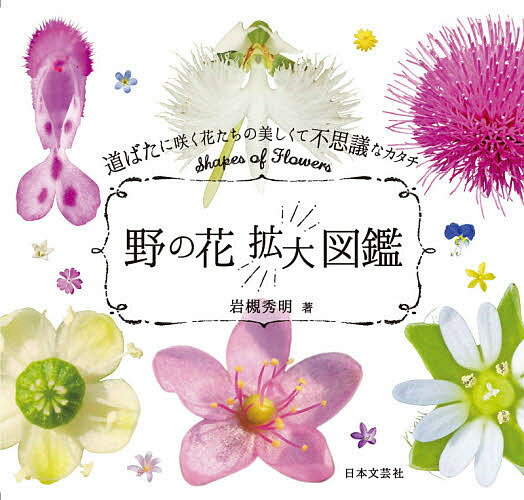 【送料無料】野の花拡大図鑑 道ばたに咲く花たちの美しくて不思議なカタチ／岩槻秀明
