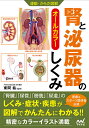腎と泌尿器のしくみ オールカラー/東間紘【1000円以上送料無料】(3)