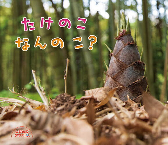 たけのこなんのこ?／子供／絵本【1000円以上送料無料】のサムネイル