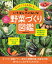 はじめてでも失敗しない!いちばんていねいな野菜づくり図鑑／加藤義貴【1000円以上送料無料】