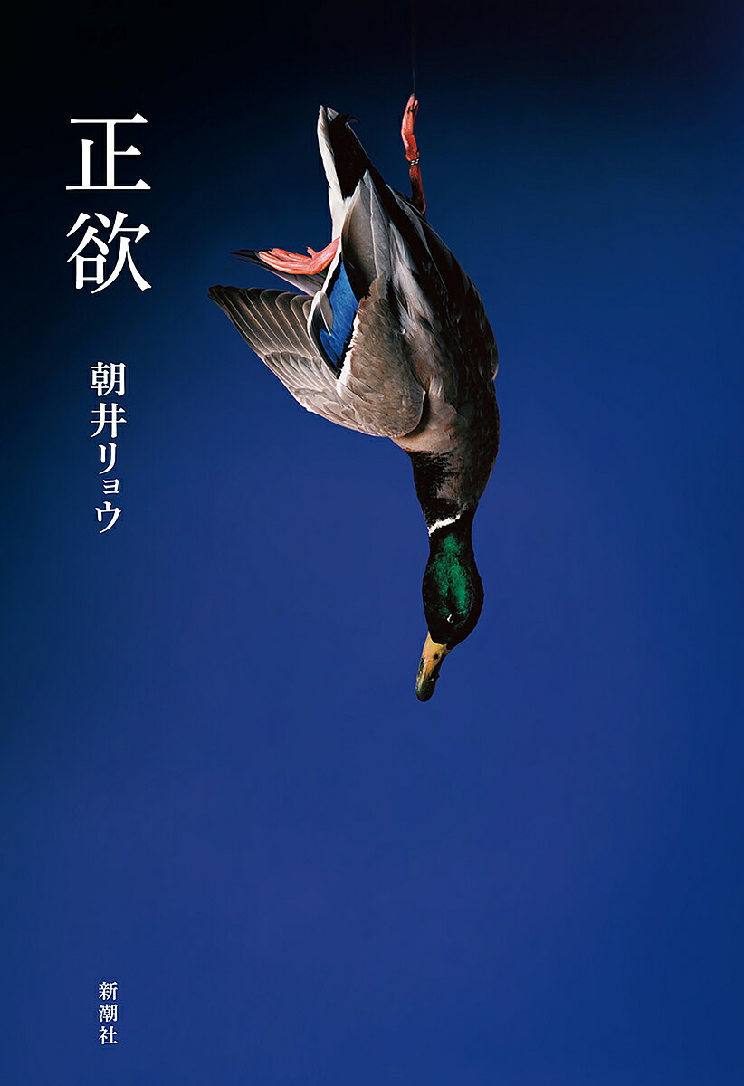 【送料無料】正欲／朝井リョウ