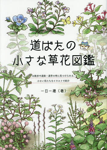 著者一日一種(著)出版社ブティック社発売日2021年04月ISBN9784834776423ページ数128Pキーワードみちばたのちいさなくさばなずかんさんぽや ミチバタノチイサナクサバナズカンサンポヤ いちにち いつしゆ イチニチ イツシユ9784834776423