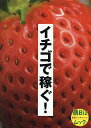 イチゴで稼ぐ!【1000円以上送料無料】