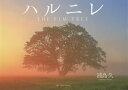 ハルニレ/浦島久【1000円以上送料無料】