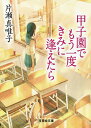 甲子園でもう一度きみに逢えたら/片瀬真唯子【1000円以上送料無料】
