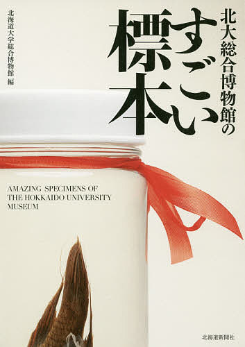 北大総合博物館のすごい標本／北海道大学総合博物館【1000円以上送料無料】