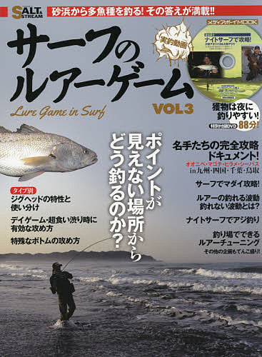 【送料無料】サーフのルアーゲーム VOL3