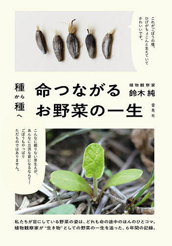 【送料無料】種から種へ命つながるお野菜の一生／鈴木純