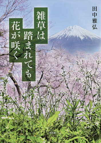 著者田中雅弘(著)出版社文芸社発売日2021年08月ISBN9784286228495ページ数79Pキーワードざつそうわふまれてもはながさく ザツソウワフマレテモハナガサク たなか まさひろ タナカ マサヒロ9784286228495