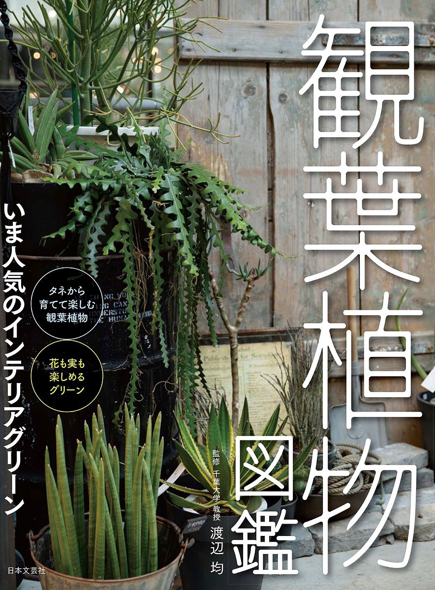 観葉植物図鑑 いま人気のインテリアグリーン／渡辺均【1000円以上送料無料】