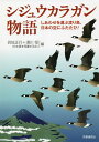 シジュウカラガン物語 しあわせを運ぶ渡り鳥、日本の空にふたたび!／呉地正行／須川恒【1000円以上送料無料】